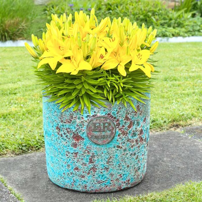 Errington Reay Elementals Planter