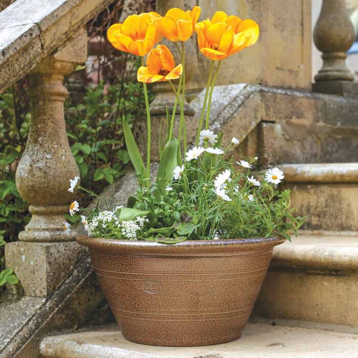 Errington Reay Salt Glazed Planter