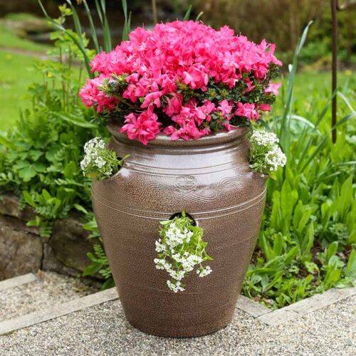 Errington Reay Salt Glazed Strawberry Pot