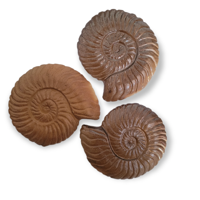 Errington Reay Salt Glazed Ammonite