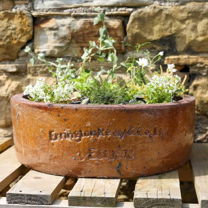 Errington Reay Courtyard Low Round Planter