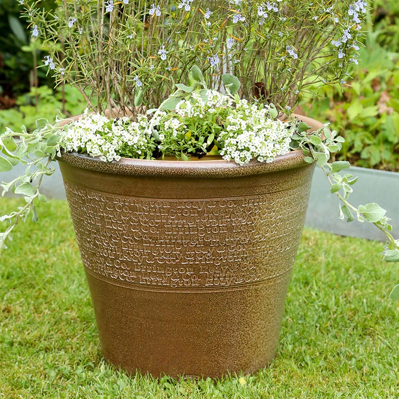 Errington Reay Special Planters